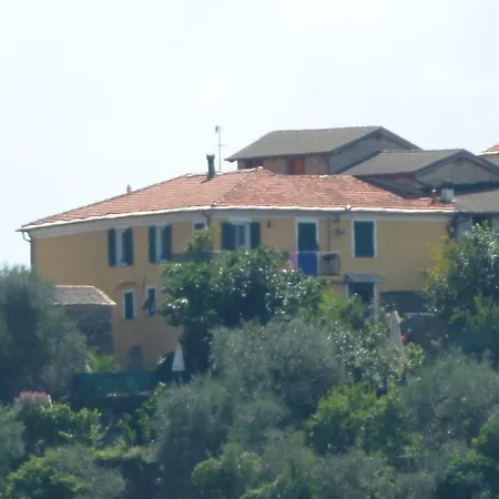 Il Poggio Di Citr00864-agr-0001 Vasia
